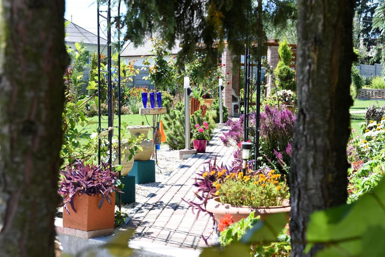 Anna Panzio Bed & Breakfast Herend Exterior photo